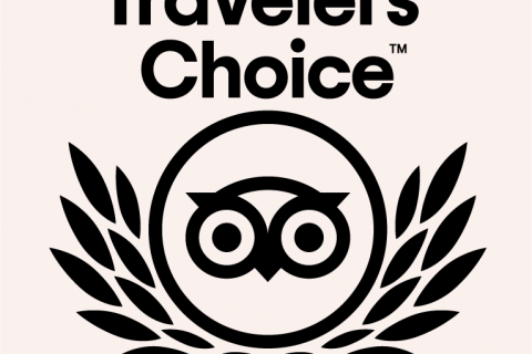 Travelers Choice Badge 2021