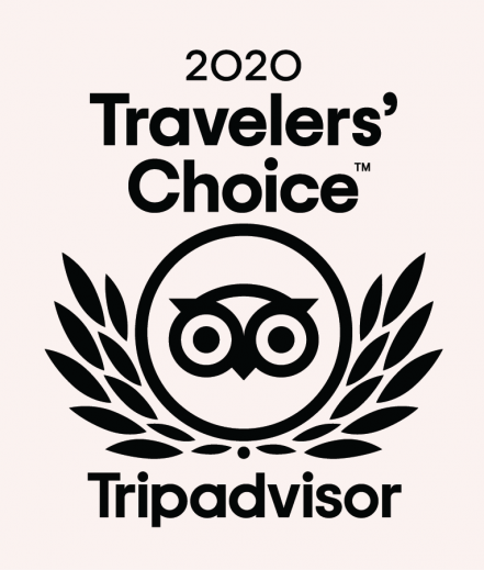 Travelers Choice 2020!